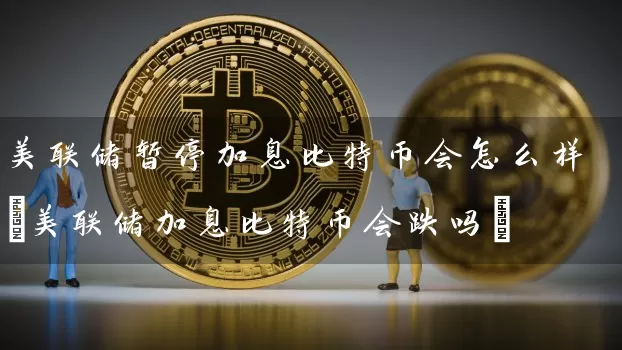 美联储暂停加息比特币会怎么样(美联储加息比特币会跌吗)