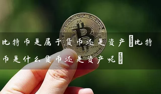 比特币是属于货币还是资产(比特币是什么货币还是资产呢)