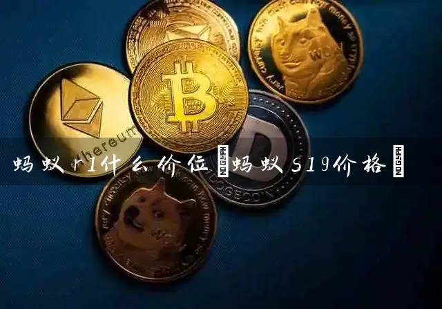 蚂蚁r1什么价位(蚂蚁s19价格)
