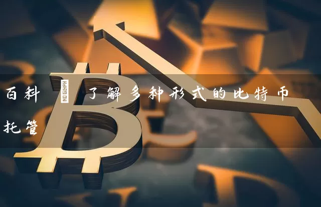 百科 | 了解多种形式的比特币托管