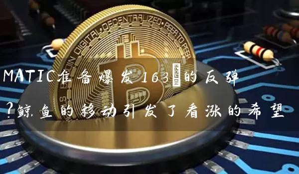 MATIC准备爆发163%的反弹？鲸鱼的移动引发了看涨的希望