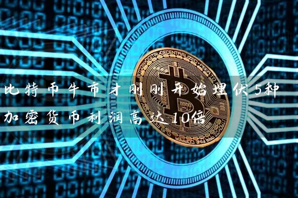 比特币牛市才刚刚开始埋伏5种加密货币利润高达10倍