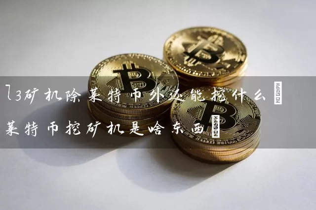 l3矿机除莱特币外还能挖什么(莱特币挖矿机是啥东西)