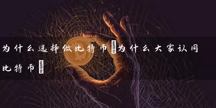 为什么选择做比特币(为什么大家认同比特币)