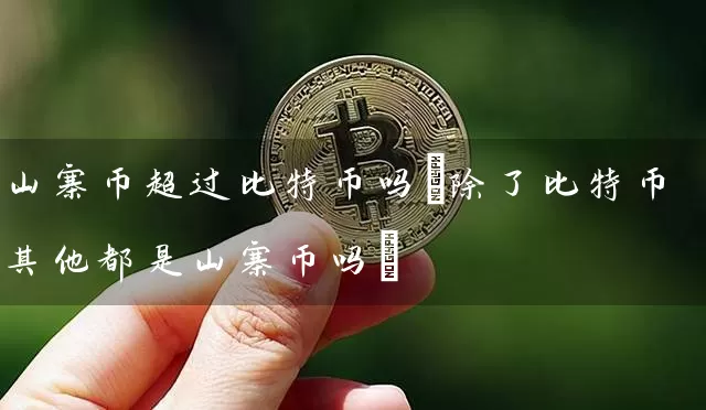 山寨币超过比特币吗(除了比特币其他都是山寨币吗)