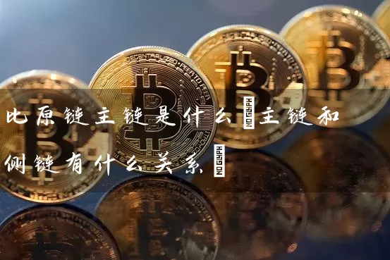 比原链主链是什么(主链和侧链有什么关系)