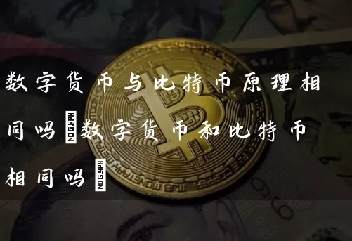 数字货币与比特币原理相同吗(数字货币和比特币相同吗)