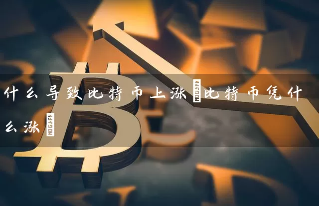 什么导致比特币上涨(比特币凭什么涨)