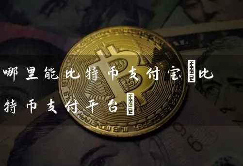 哪里能比特币支付宝(比特币支付平台)