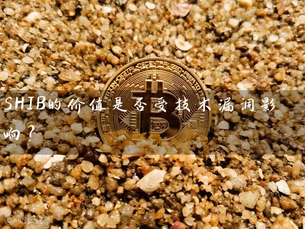 SHIB的价值是否受技术漏洞影响？