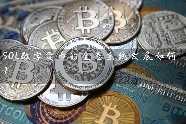 SOL数字货币的生态系统发展如何？