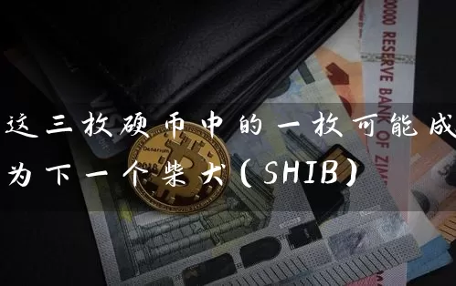 这三枚硬币中的一枚可能成为下一个柴犬（SHIB）