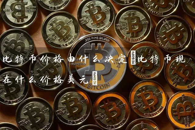 比特币价格由什么决定(比特币现在什么价格美元)