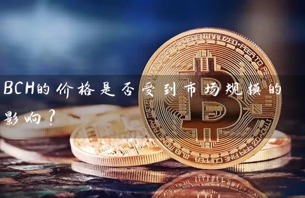 BCH的价格是否受到市场规模的影响？