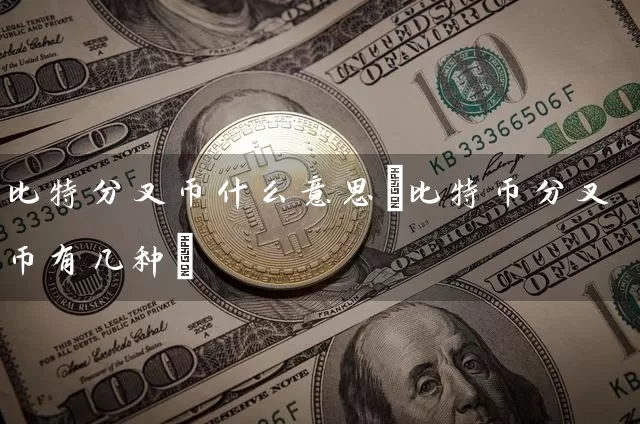 比特分叉币什么意思(比特币分叉币有几种)