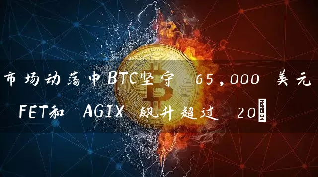 市场动荡中BTC坚守 65,000 美元 FET和 AGIX 飙升超过 20%