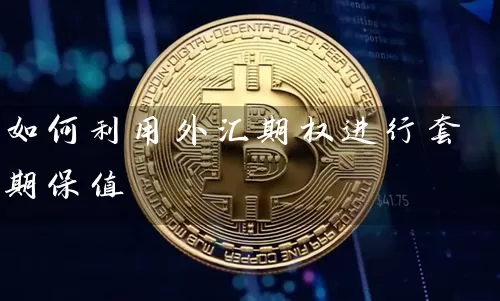如何利用外汇期权进行套期保值