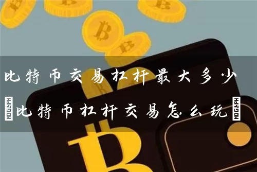 比特币交易杠杆最大多少(比特币杠杆交易怎么玩)