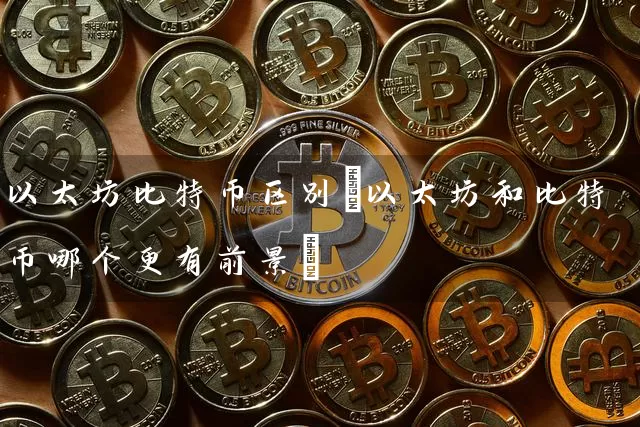 以太坊比特币区别(以太坊和比特币哪个更有前景)
