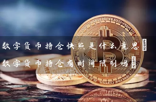 数字货币持仓快照是什么意思(数字货币持仓有时间吗)