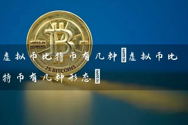 虚拟币比特币有几种(虚拟币比特币有几种形态)