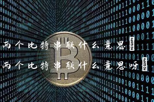 两个比特串联什么意思(两个比特串联什么意思呀)