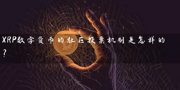 XRP数字货币的社区投票机制是怎样的？