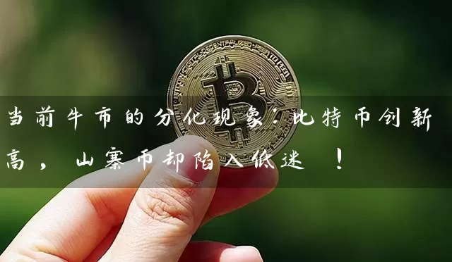 当前牛市的分化现象：比特币创新高, 山寨币却陷入低迷 !