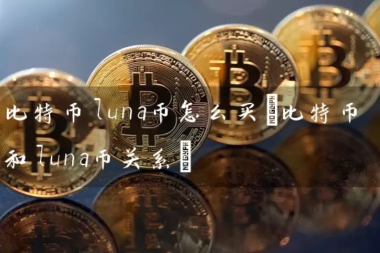 比特币luna币怎么买(比特币和luna币关系)