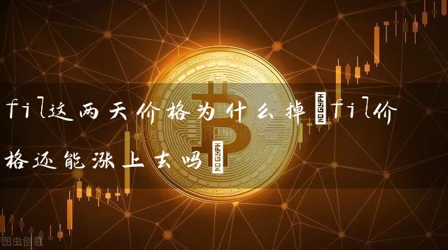 fil这两天价格为什么掉(fil价格还能涨上去吗)