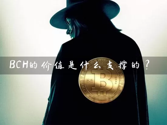 BCH的价值是什么支撑的？
