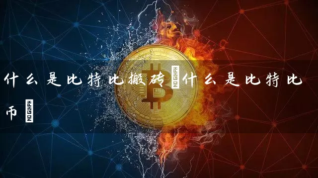 什么是比特比搬砖(什么是比特比币)