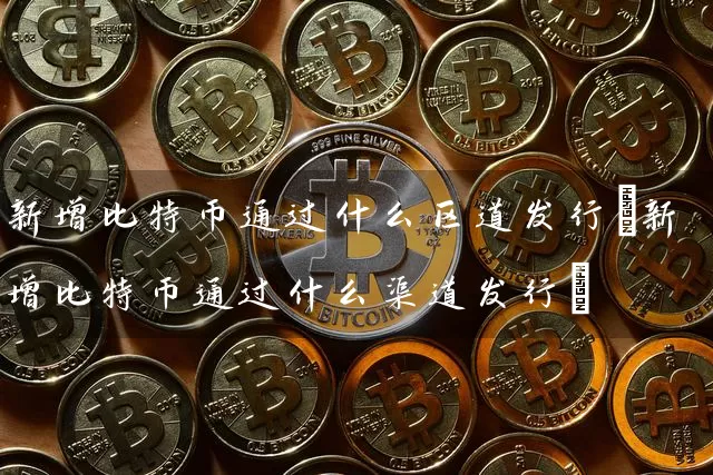 新增比特币通过什么区道发行(新增比特币通过什么渠道发行)