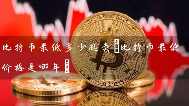 比特币最低多少起卖(比特币最低价格是哪年)