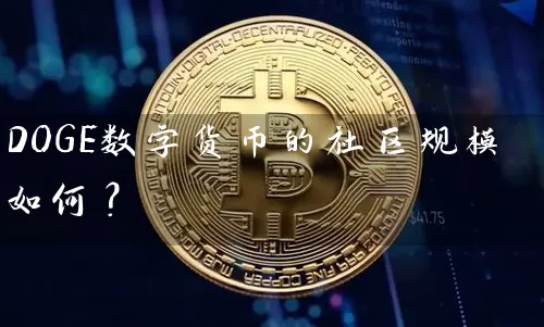 DOGE数字货币的社区规模如何？