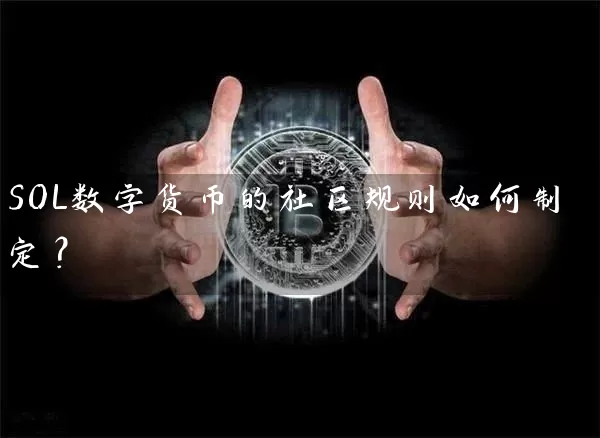 SOL数字货币的社区规则如何制定？