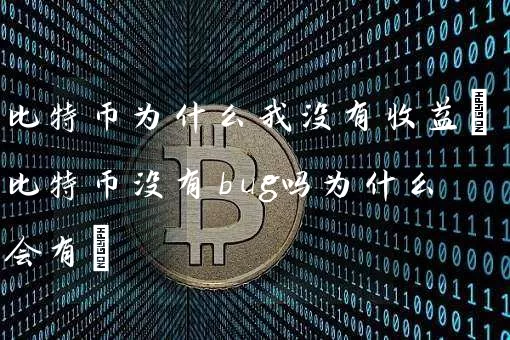 比特币为什么我没有收益(比特币没有bug吗为什么会有)
