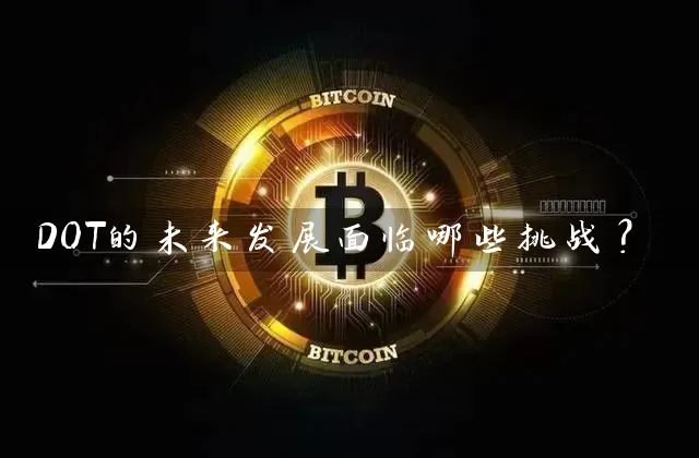 DOT的未来发展面临哪些挑战？