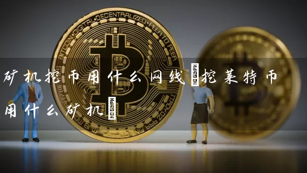 矿机挖币用什么网线(挖莱特币用什么矿机)
