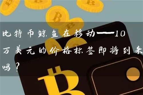 比特币鲸鱼在移动——10万美元的价格标签即将到来吗？