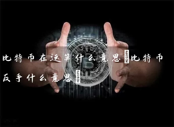 比特币在运算什么意思(比特币反手什么意思)
