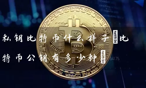 私钥比特币什么样子(比特币公钥有多少种)