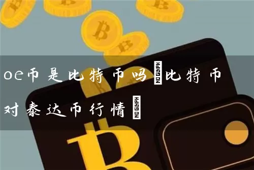 oe币是比特币吗(比特币对泰达币行情)
