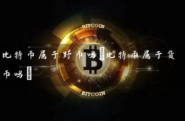 比特币属于野币吗(比特币属于货币吗)