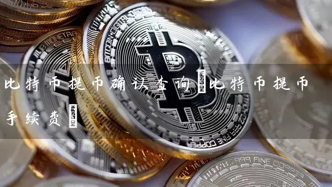 比特币提币确认查询(比特币提币手续费)