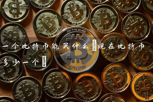 一个比特币能买什么(现在比特币多少一个)