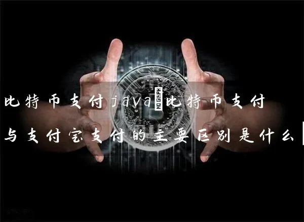 比特币支付java(比特币支付与支付宝支付的主要区别是什么)