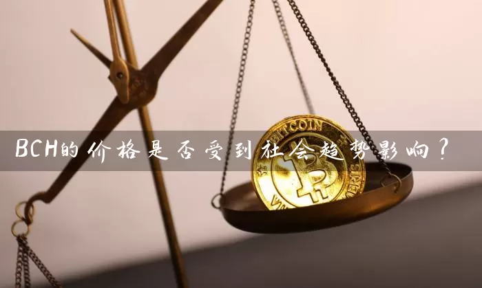 BCH的价格是否受到社会趋势影响？