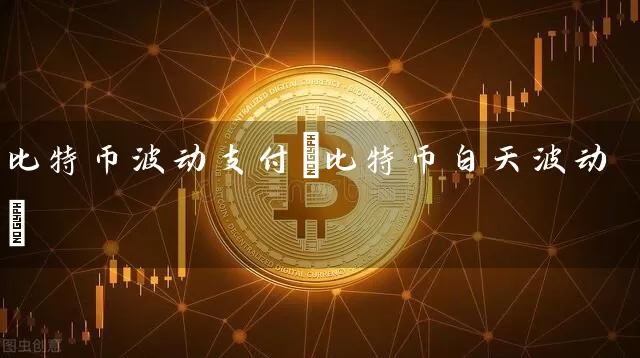 比特币波动支付(比特币白天波动)