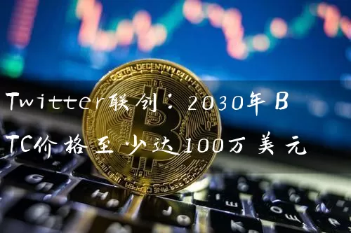 Twitter联创：2030年BTC价格至少达100万美元